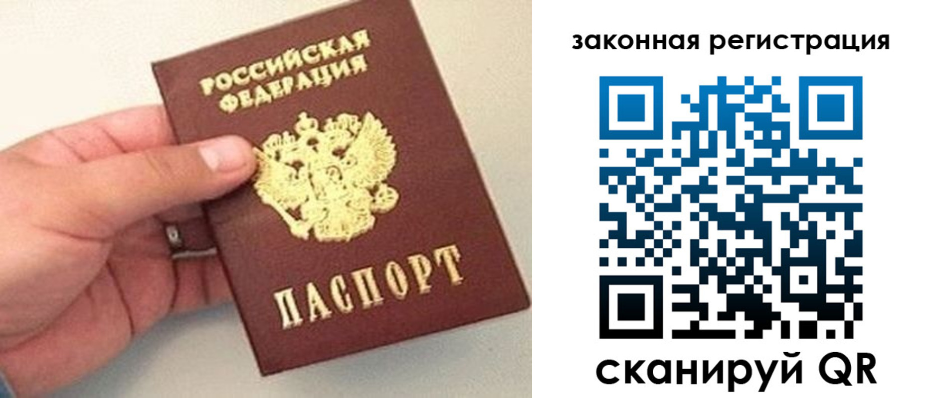 прописка для школы в Плавске